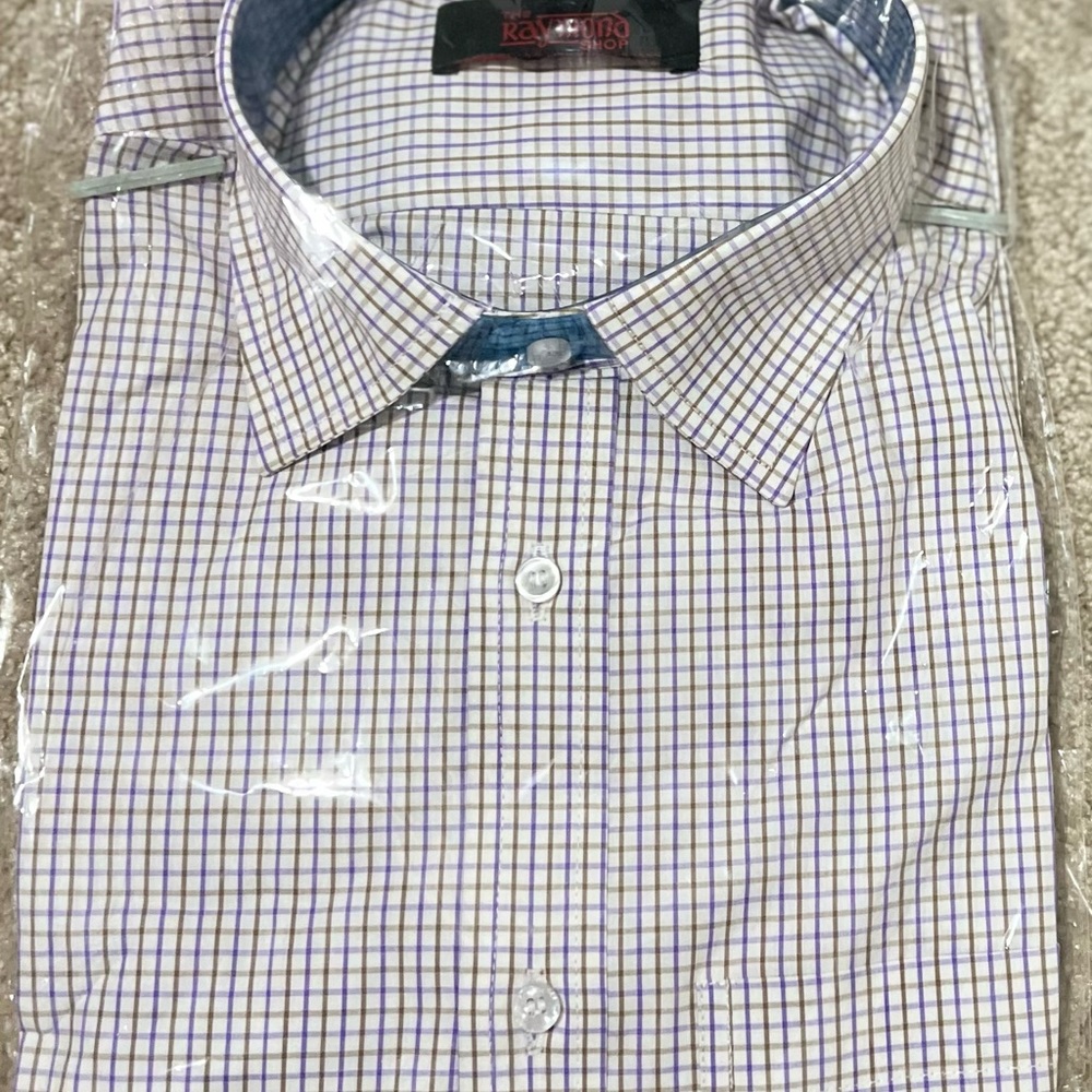 Raymond Men's Blue Checkered Shirt